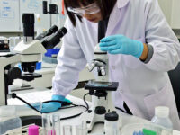 Fitur Sampul: Derivatif Shikonin Menekan Pertumbuhan Sel Kanker Kolorektal melalui Apoptosis Mitokondria yang Dimediasi Spesies Oksigen Reaktif dan Jalur PI3K/AKT (Chem. Biodiversity 4/2025)