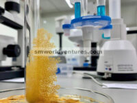 Xanthone Baru dari Jamur Aspergillus sp. SCSIO 41430 yang Berasal dari Sedimen Mangrove dengan Aktivitas Sitotoksik