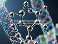 Potensi Antikanker dan Anti-Inflamasi Coptisine sebagai Alkaloid Benzo[C]Phenanthridine Planar Quaternary Dengan Aktivitas Induksi Telomerik DNA G-Quadruplex