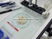 Selulosa Bakteri Berbasis Nanokomposit yang Sangat Kompatibel yang Didoping dengan Nanopartikel Dopamin dan Titanium Dioksida: Mempelajari Pengaruh Mode Penambahan, Karakterisasi, Antibakteri, dan Efisiensi Penyembuhan Luka