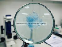 MOF Zn Homokiral 2D yang Stabil terhadap Air dengan Ligand Dikarboksilat yang Berasal dari D -Camphorate untuk Penginderaan Enantioselektif D/L -Histidin