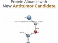Denaturasi DNA dan Protein Albumin dengan Kehadiran Kandidat Antitumor Baru