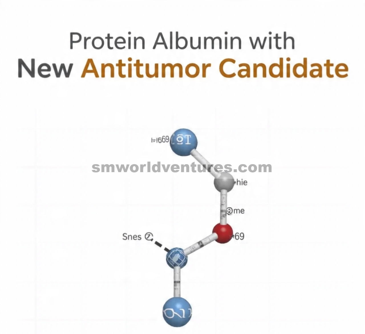 Denaturasi DNA dan Protein Albumin dengan Kehadiran Kandidat Antitumor Baru