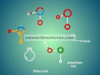 Potensi Anti-Inflamasi dan Antioksidan Asam Fenolik yang Berasal dari Tumbuhan sebagai Inhibitor COX, LOX, dan NOX: Pendekatan Komputasional