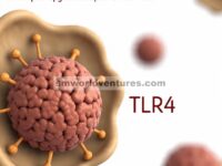 Peran Ekspresi Makrofag TLR4 dalam Imunopatogenesis Anemia Aplastik Berat
