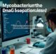 Karakterisasi Interaksi DnaB-DnaG pada M. tuberculosis menggunakan Uji Disosiasi Berbasis SAXS