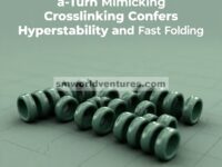 Sampul Depan: β-Turn Mimicking Crosslinking Memberikan Hiperstabilitas dan Kinetika Pelipatan Cepat untuk Triple Heliks Kolagen Pendek (ChemBioChem 12/2025)