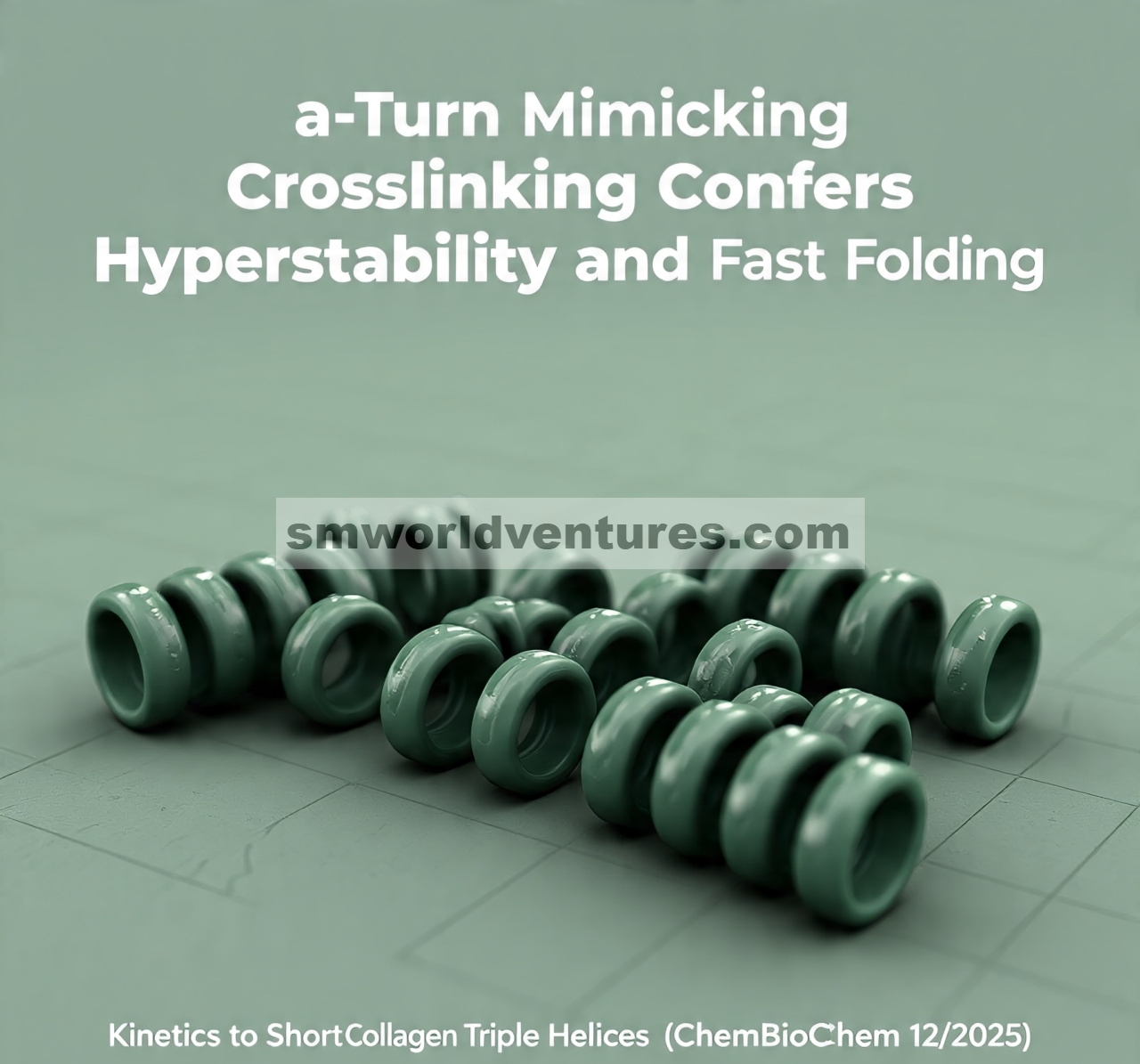 Sampul Depan: β-Turn Mimicking Crosslinking Memberikan Hiperstabilitas dan Kinetika Pelipatan Cepat untuk Triple Heliks Kolagen Pendek (ChemBioChem 12/2025)